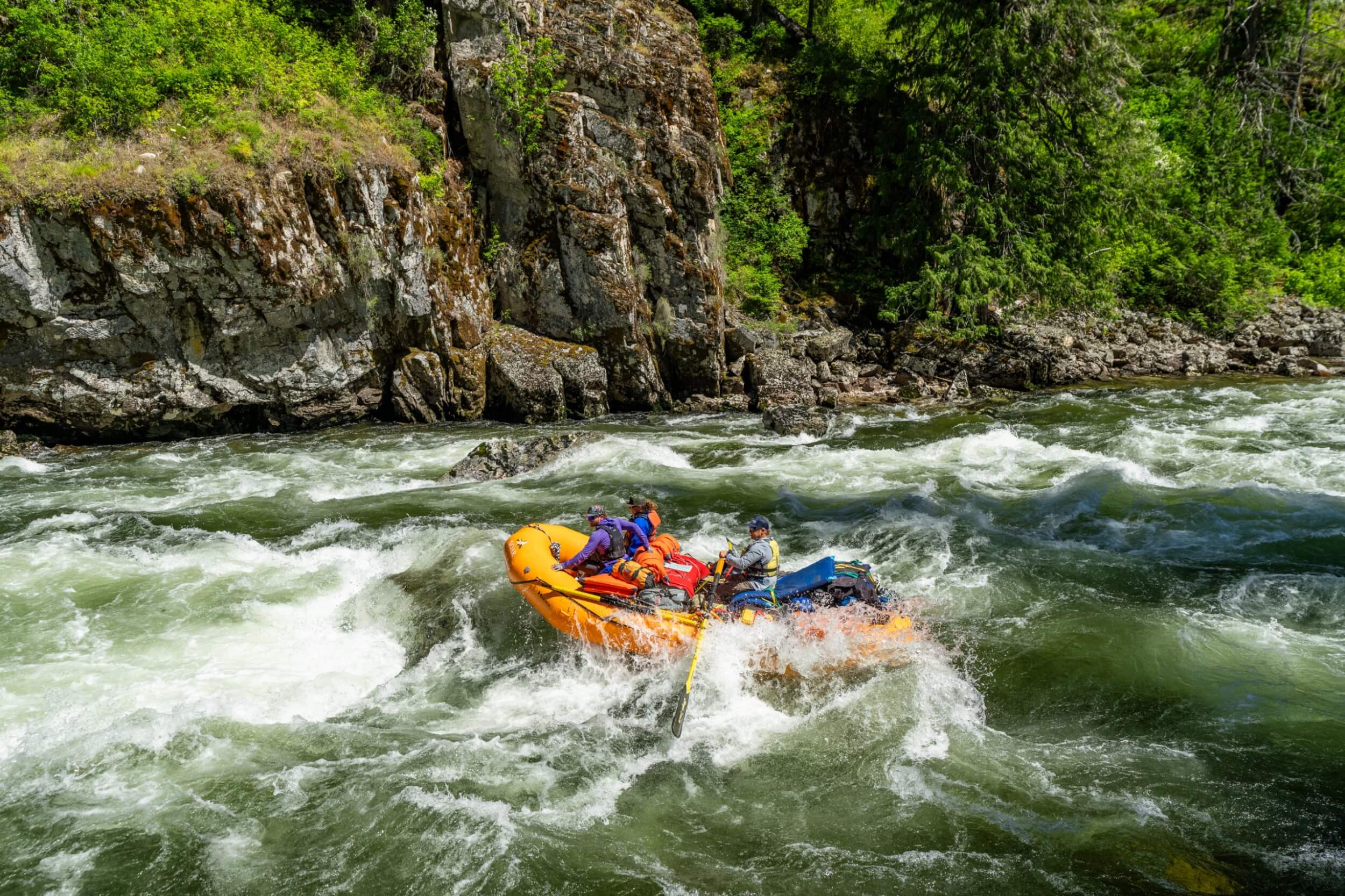 Landing Page Orange raft tackles a powerful rapid on the Selway River, surrounded by forested canyon walls.