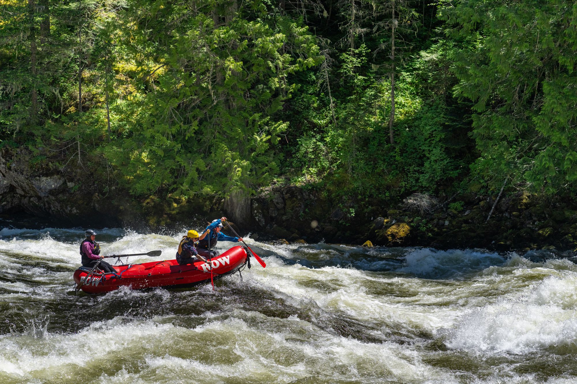 Landing Page Rafters navigating whitewater on the Lochsa River with ROW Adventures surrounded by lush forests.