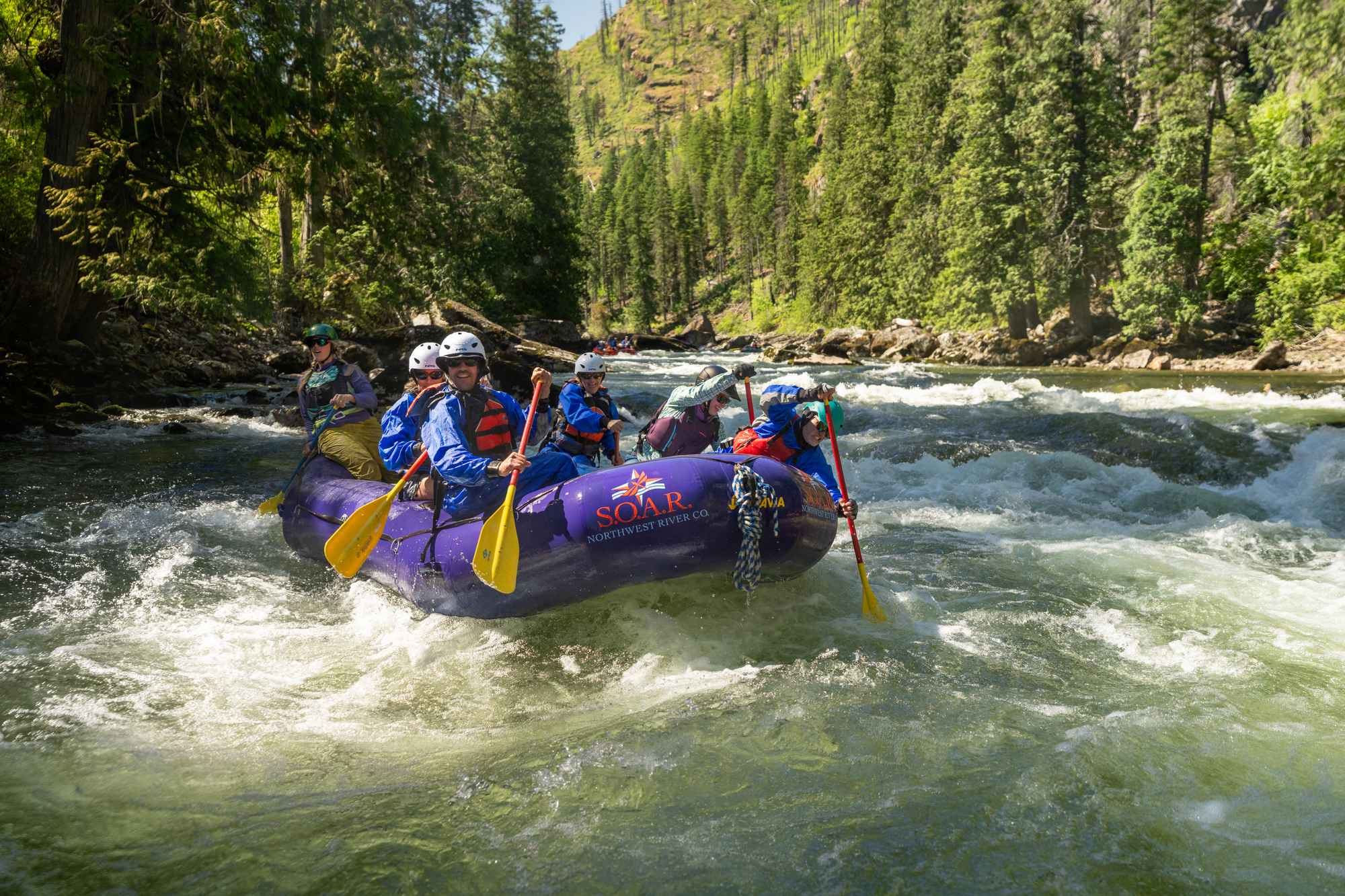 Landing Page SOAR Northwest leads a group rafting the rapids of the Selway River in a purple raft, with forests in the background.