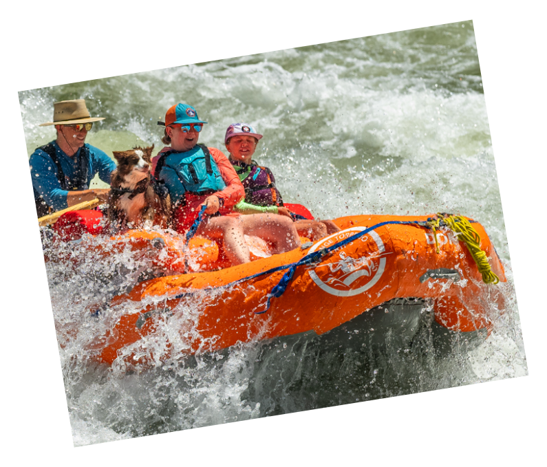 Landing Page A polaroid photo of a group wearing sunglasses and hats, along with a smiling dog, splashes through whitewater in an Orange Torpedo raft.