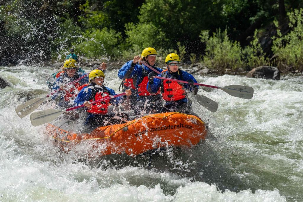 Landing Page A group of rafters in vests and helmets splash on a Cascade raft, oars up in the air, as they ride the Payette river, trees behind them.